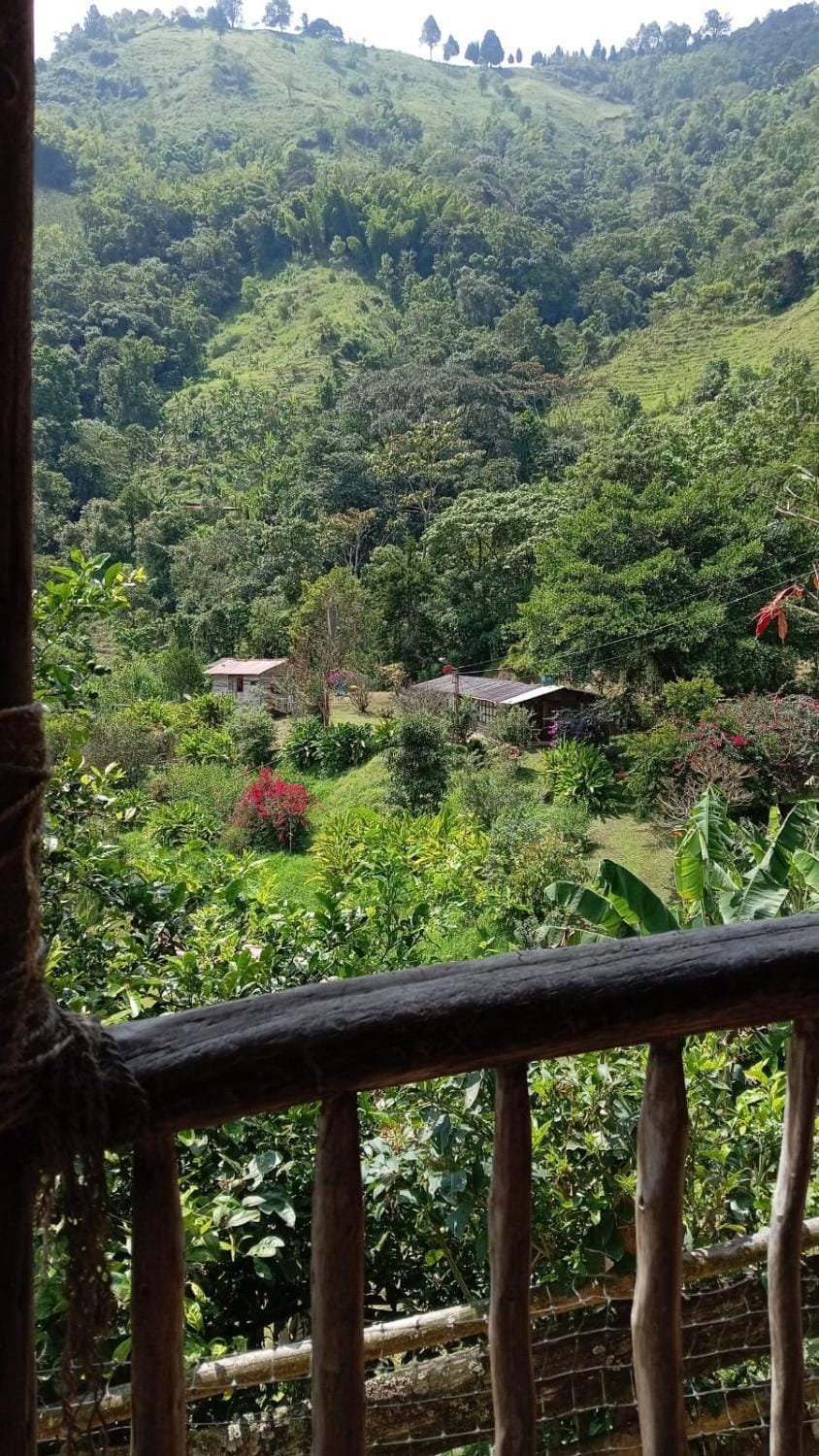 La Rana Azul - Hospedaje rural Campground/ 
RV Resort in Caldas, Colombia