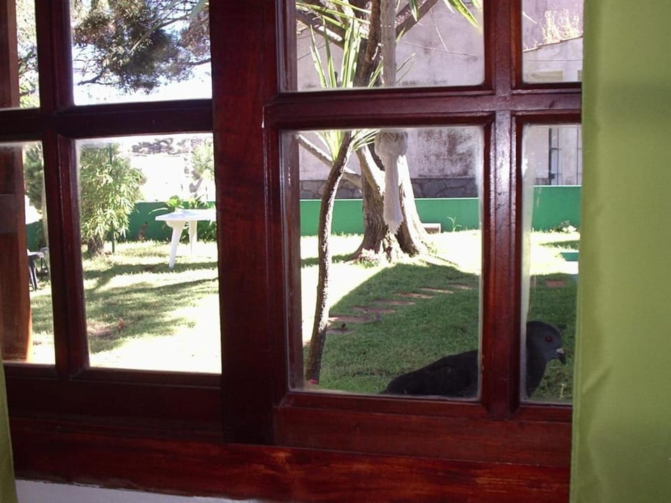 Hostal Sur Bed and Breakfast in Villa Gesell