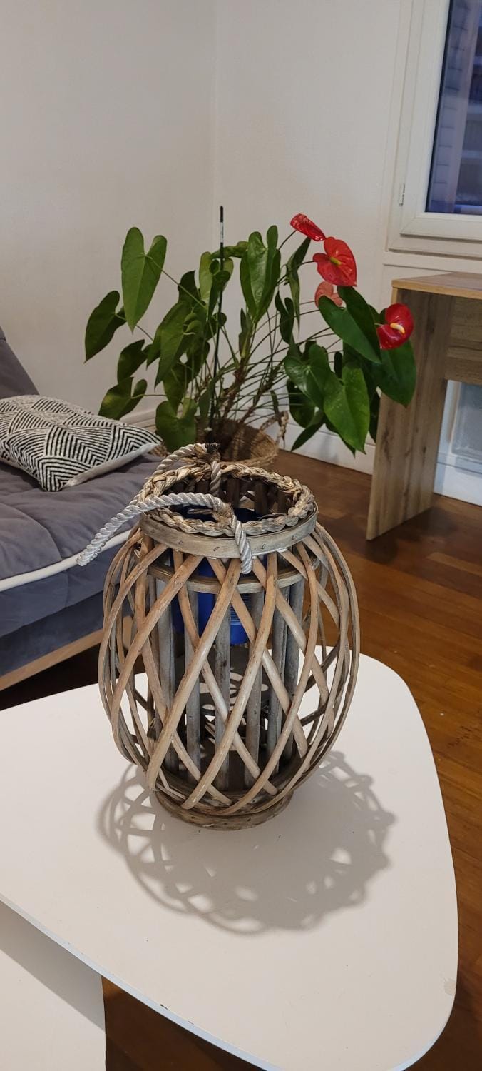 La Rose des vents Apartment in Grenoble