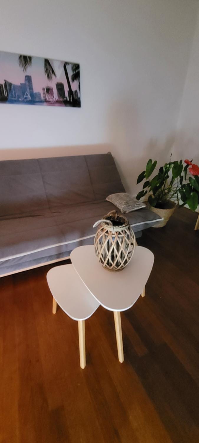 La Rose des vents Apartment in Grenoble