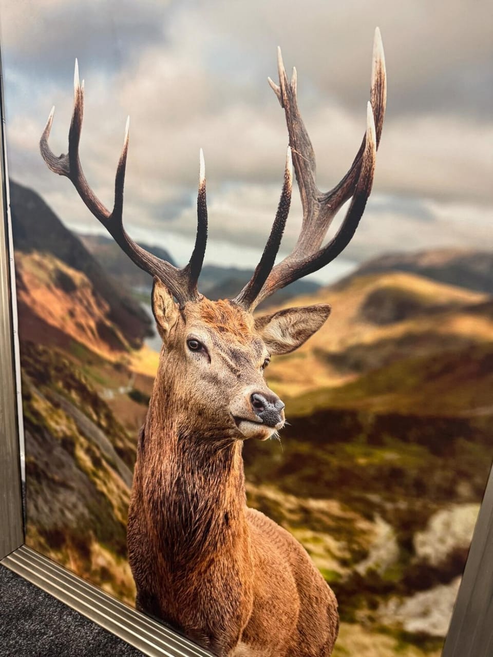 Cozy bungalow Apartment in Standish