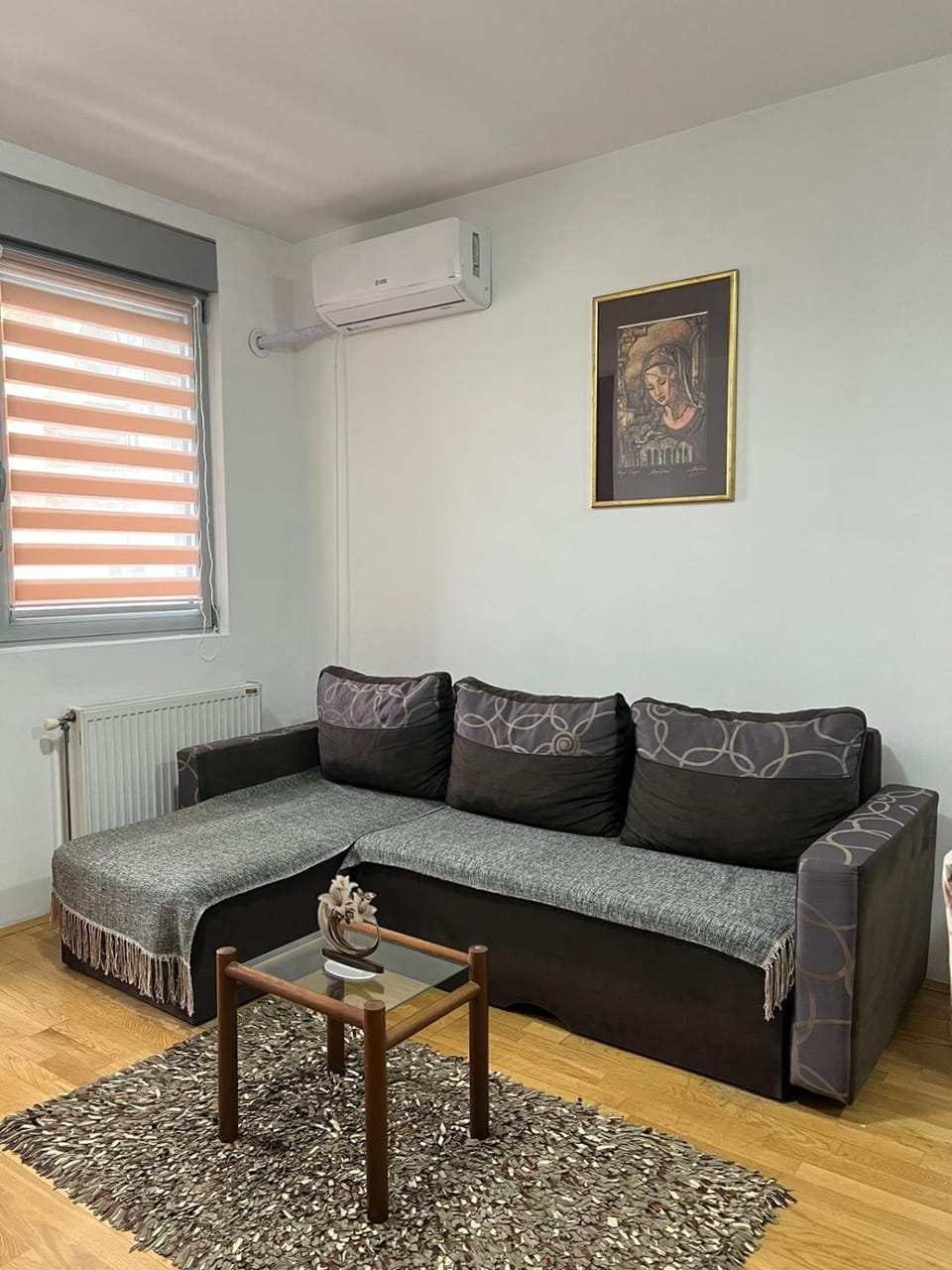 Apartman Irena Apartment in Serbia