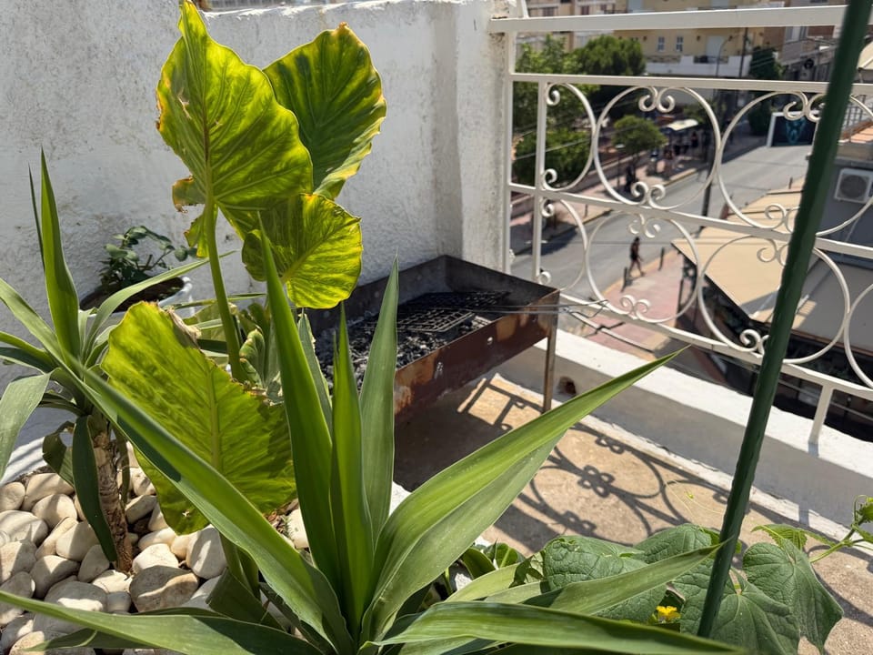 Piraeus Sea Loft Apartment in Pireas