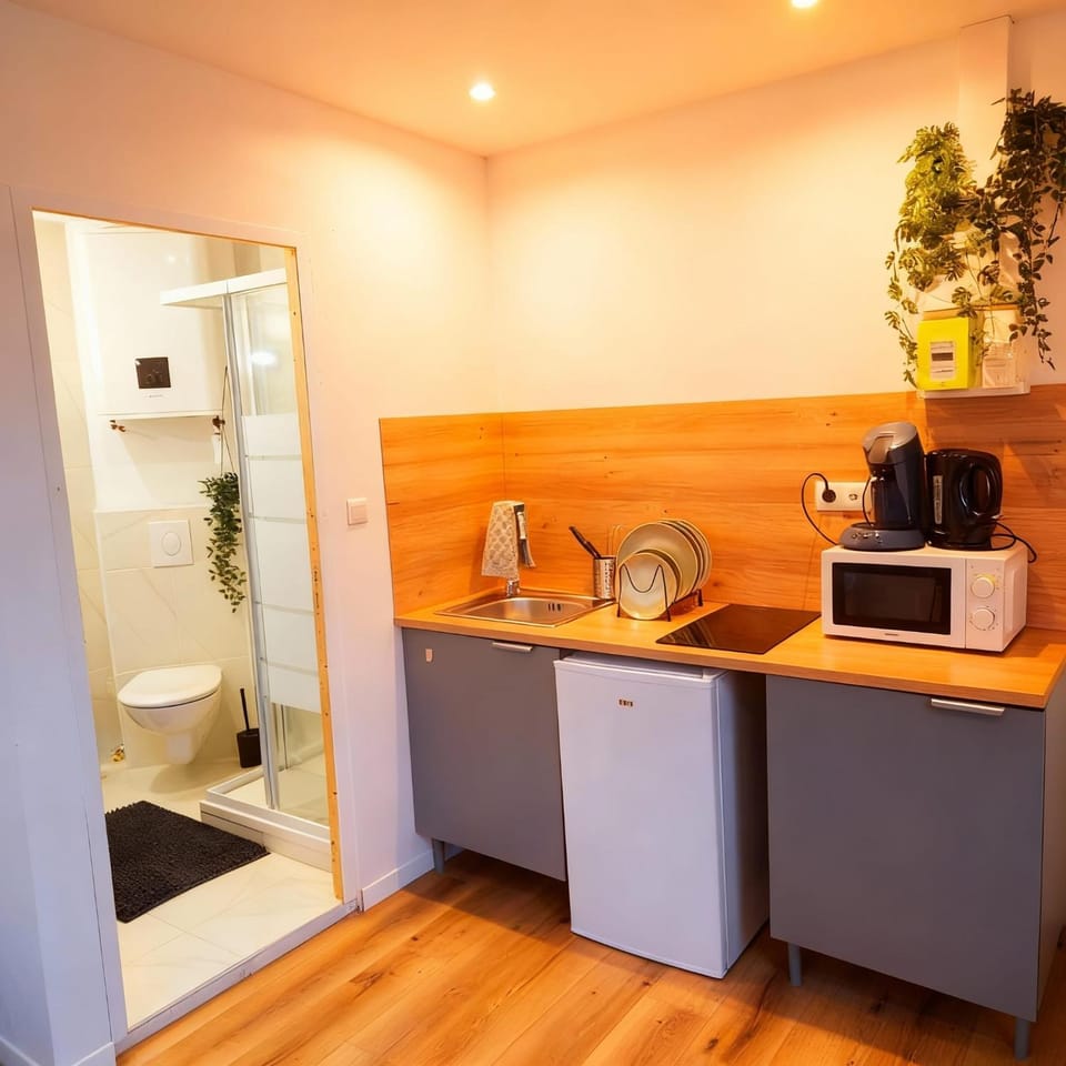 Studio proche Zénith & Strasbourg Centre Apartment in Eckbolsheim