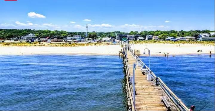 Cozy 2BR By Norfolk Base & Beach Apartment in Norfolk