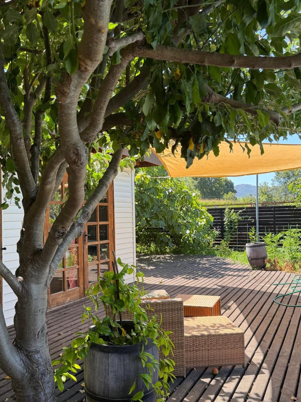Casa Benita Apartment in O'Higgins, Chile