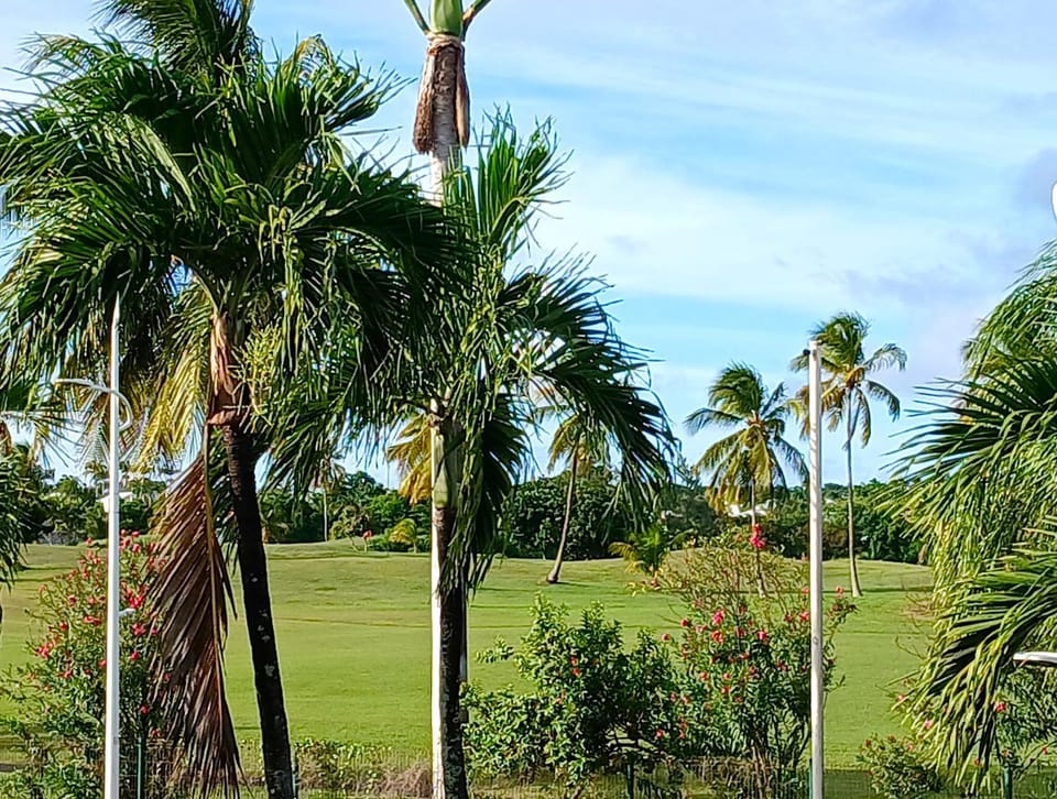 Landmark view
