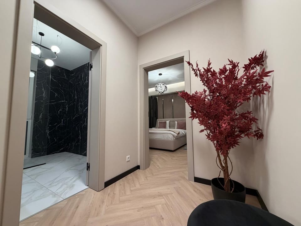Bed, Bathroom, Photo of the whole room