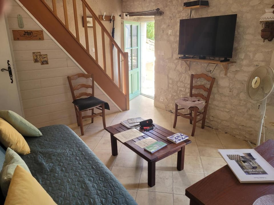 Charmante Maison Ancienne près de Chinon avec Cour Privée - FR-1-381-645 House in Centre-Val de Loire