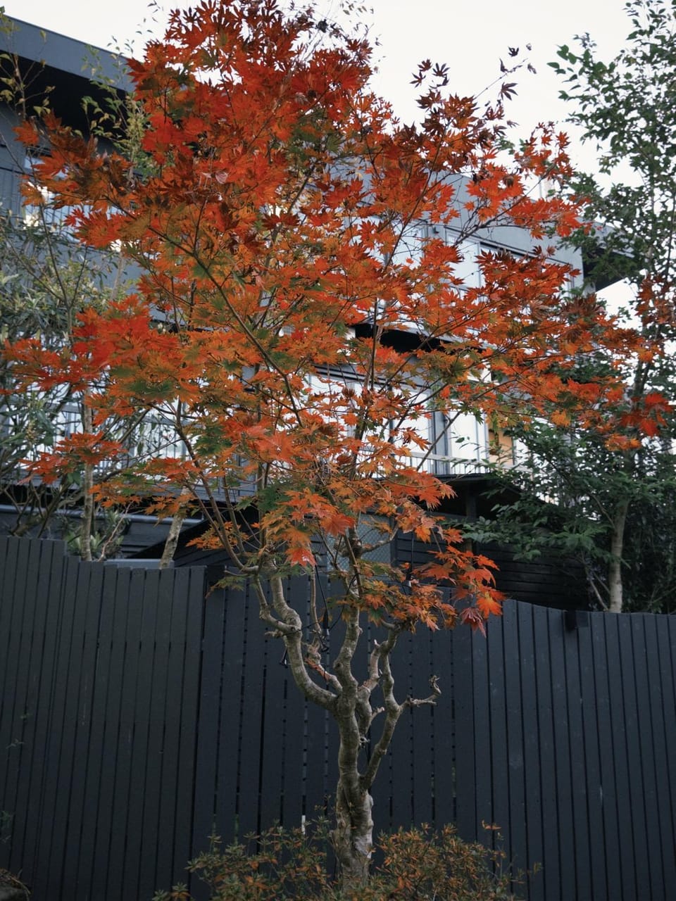Garden, Garden