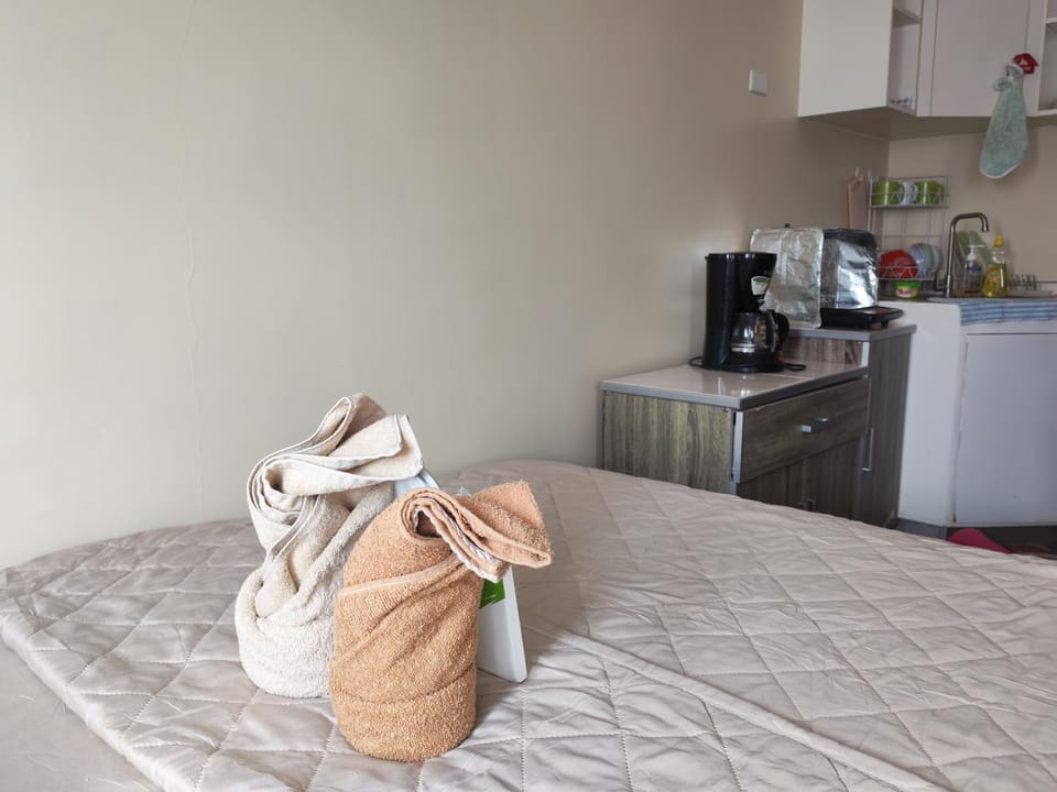 Avida Davao condo Studio type Apartment in Davao City