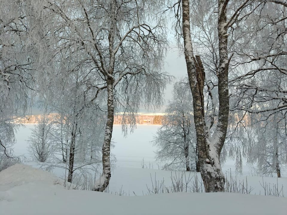 Day, Natural landscape, Winter