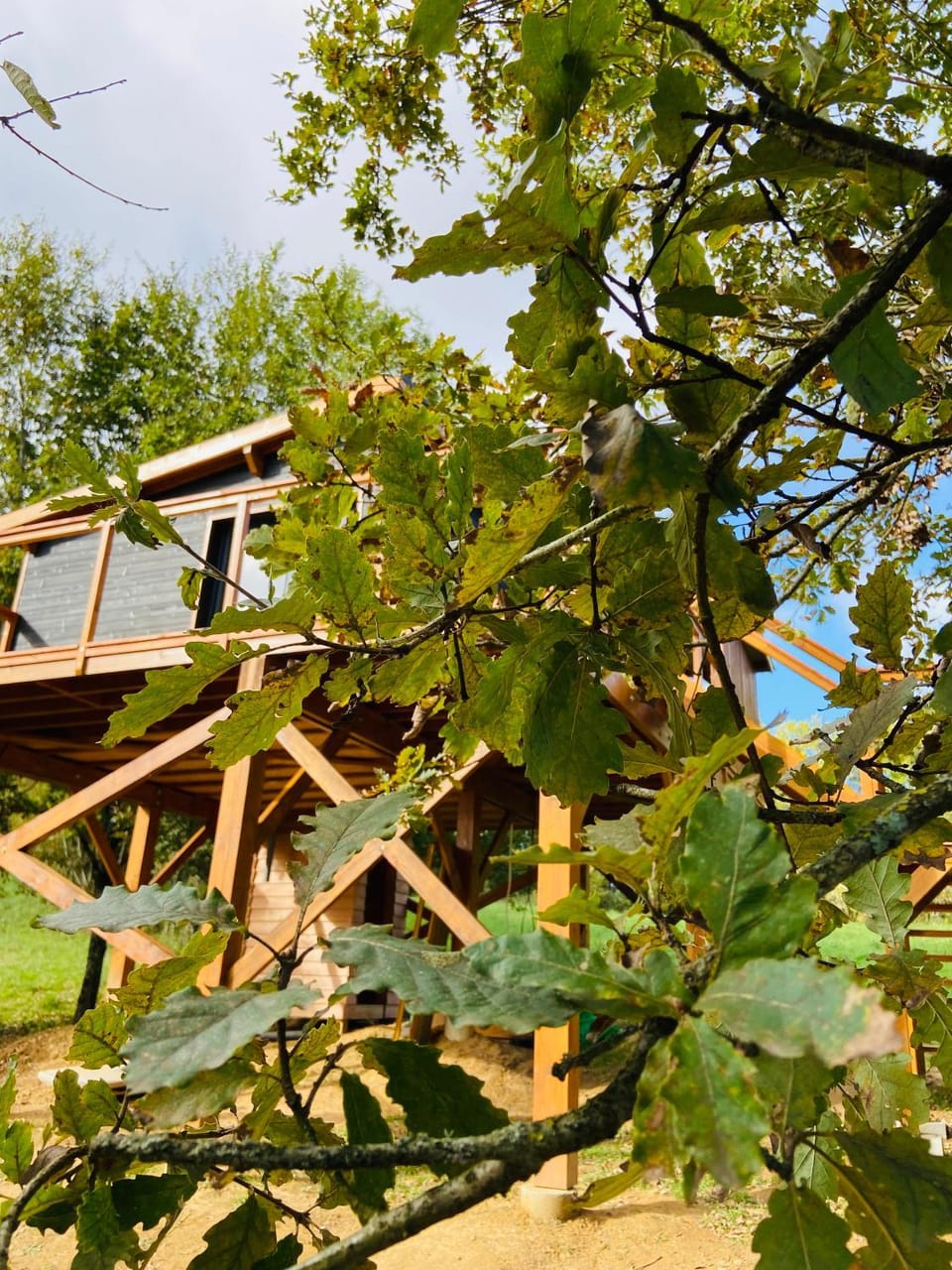 Domaine Ô Cabanes Câlines Nature lodge in Occitanie