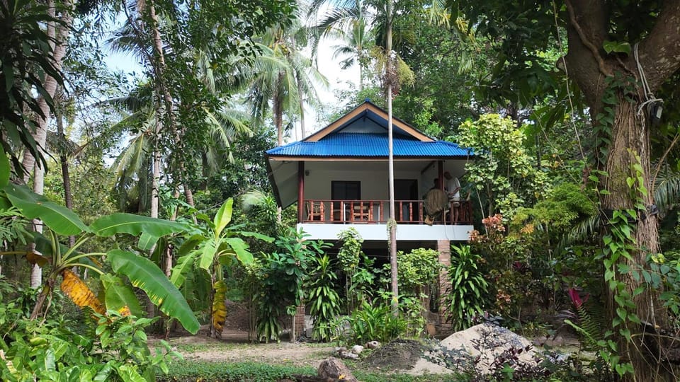 Property building, View (from property/room)
