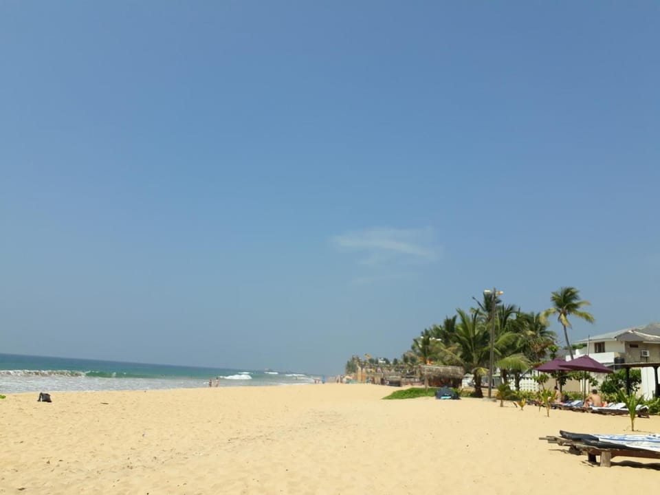 Hector's Place Hotel in Hikkaduwa