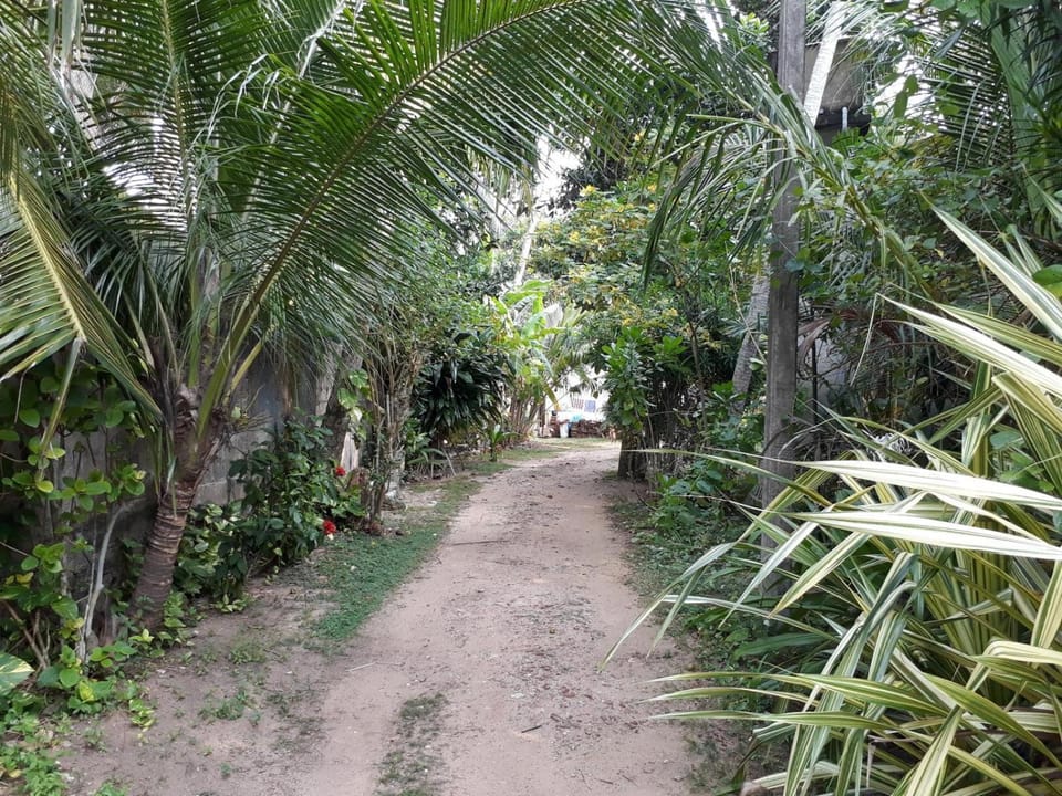 Hector's Place Hotel in Hikkaduwa