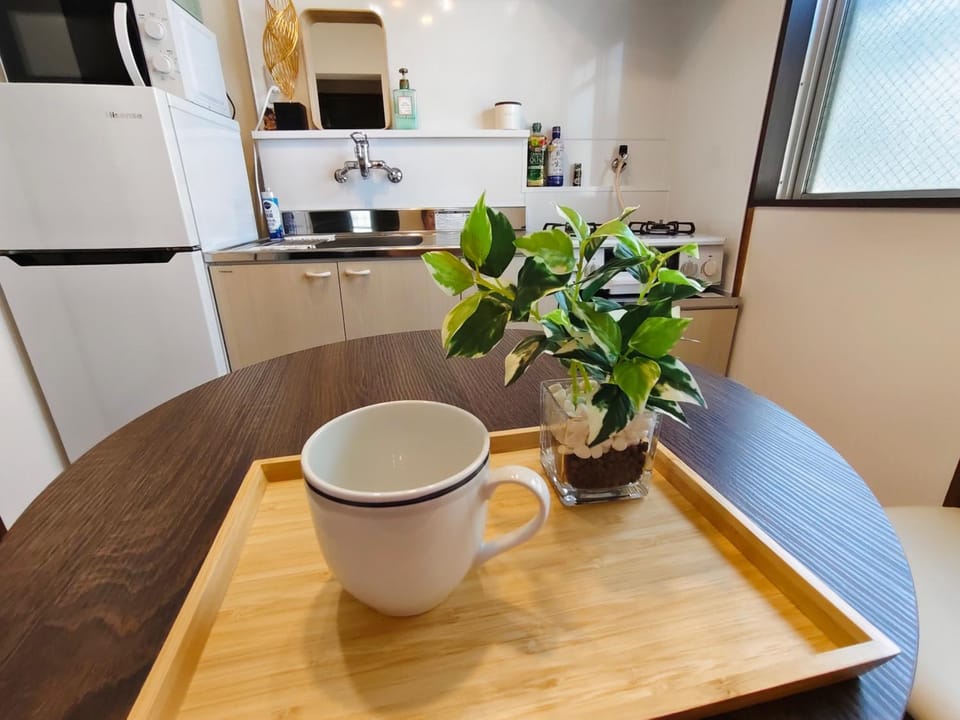 DiDi Calm 105 Apartment in Japan