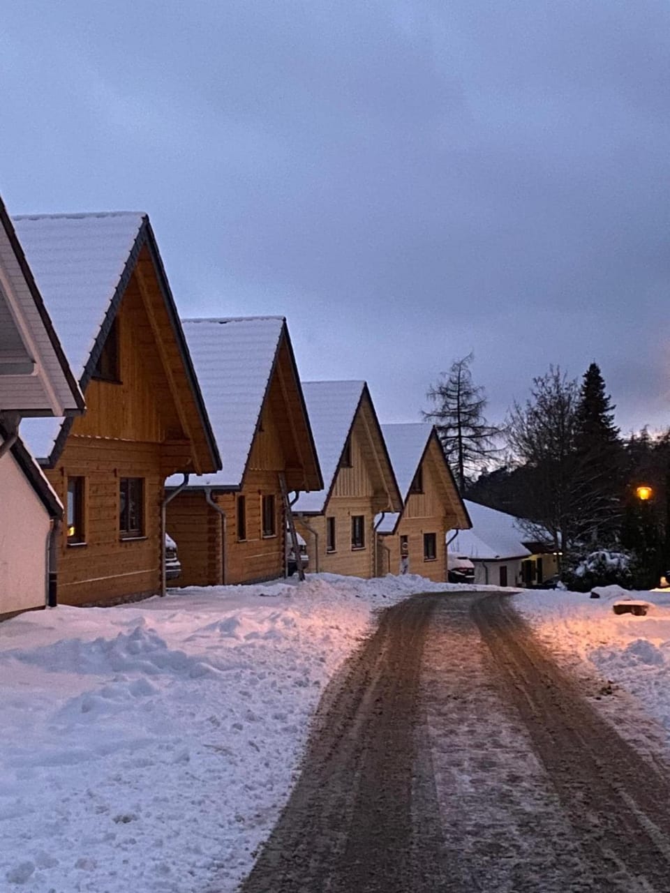 Bosnest Nr 176 House in Frankenau