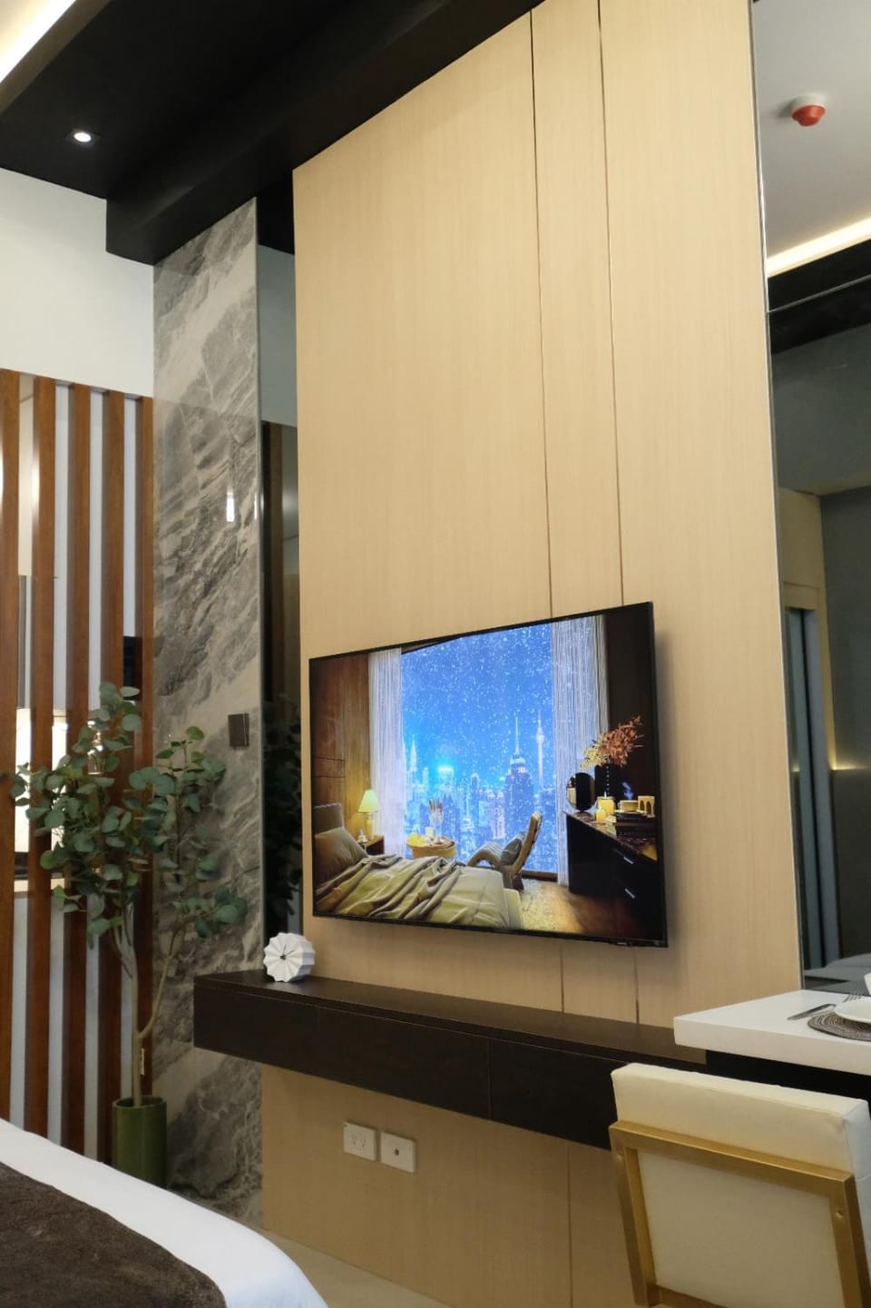 TV and multimedia