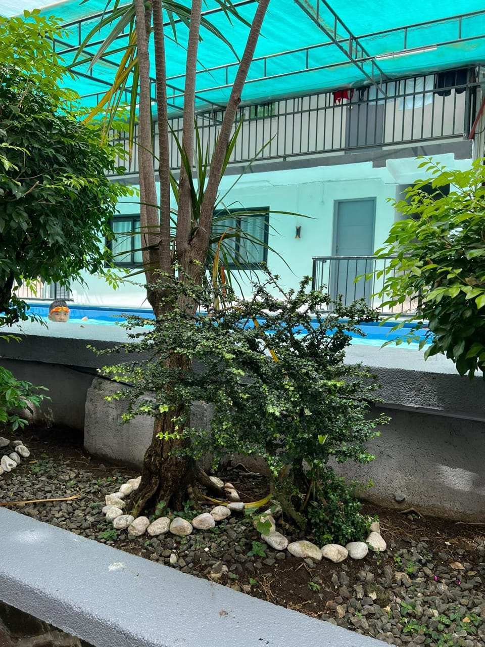 Garden, Swimming pool
