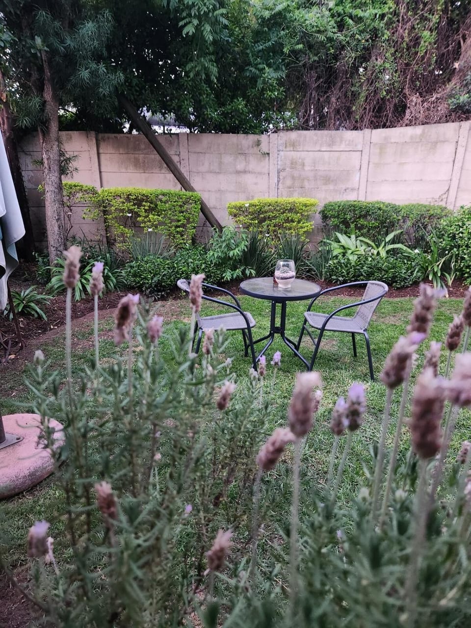 Parkhurst Gem Garden Cottage - Walk to 4th Ave Apartment in Johannesburg