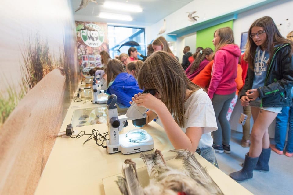 De Ploate Hostel Hostel in Ostend