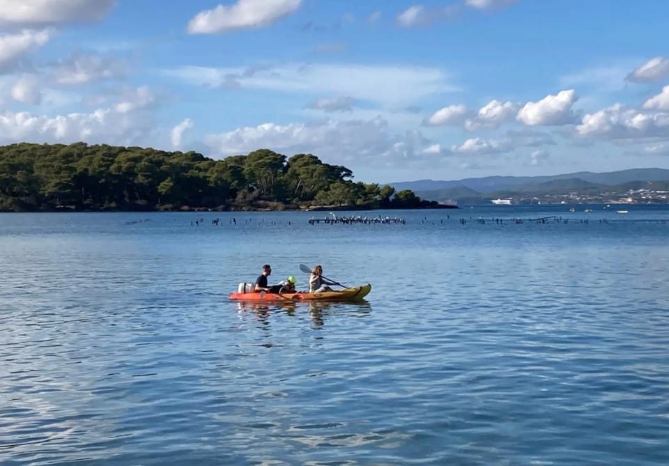 Chambre D'hôtes Les Toits Du Gaou Bed and Breakfast in Six-Fours-les-Plages