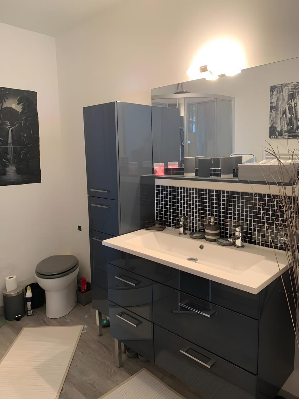 Bathroom, Living room