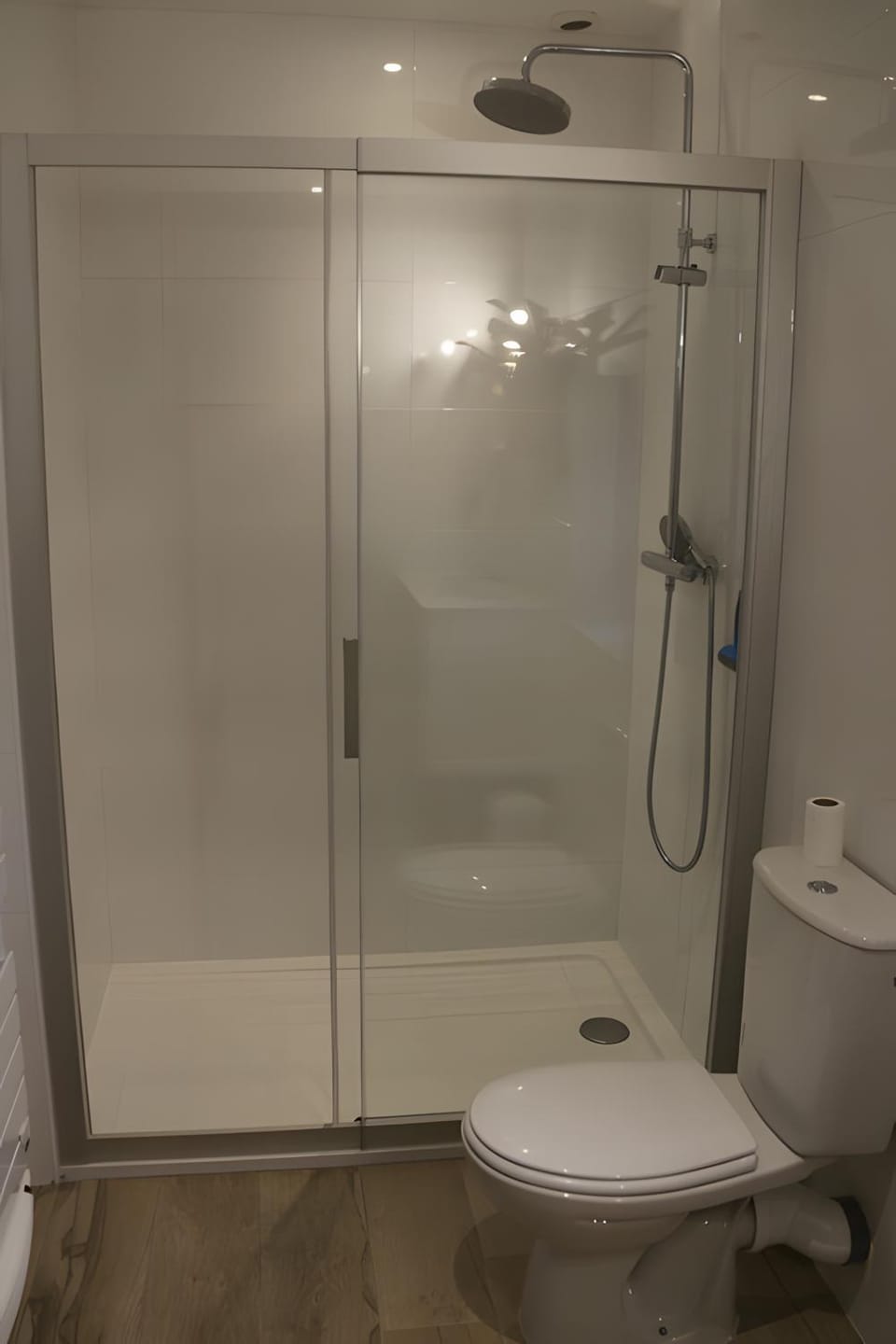 Bathroom, Living room