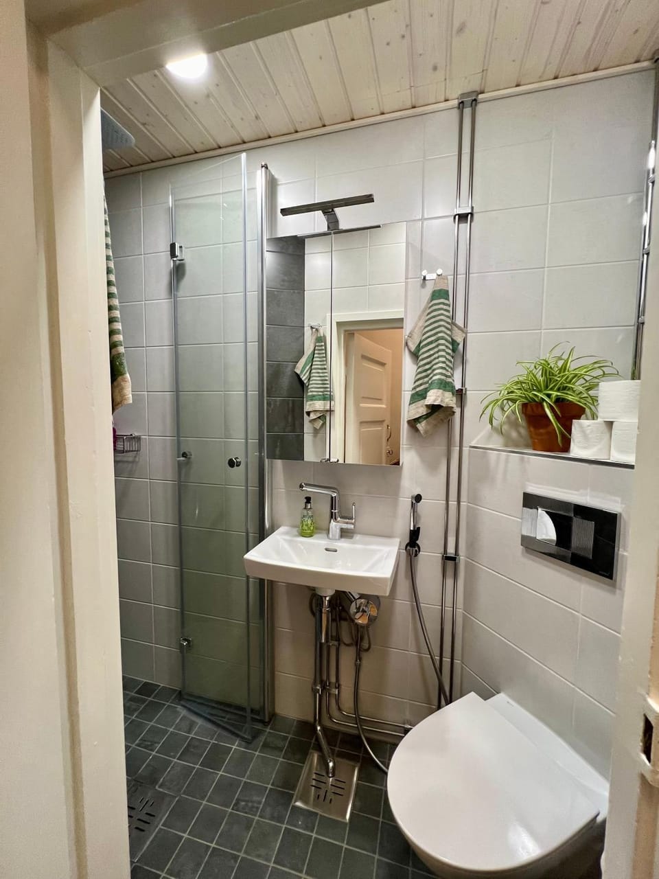 Shower, Bathroom