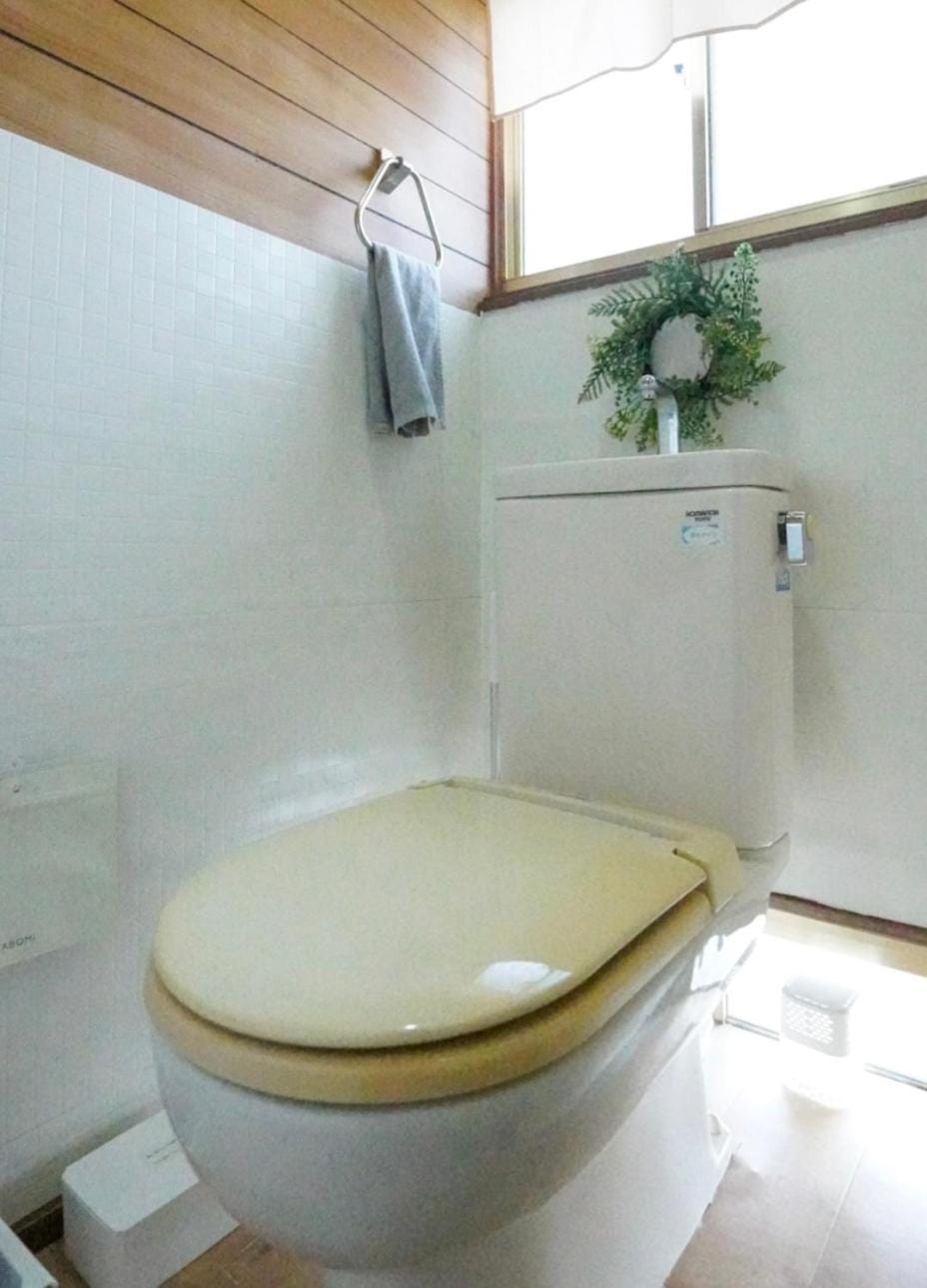 Toilet