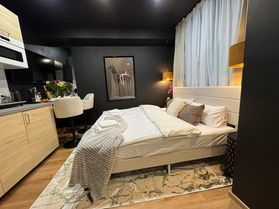 M-Stay Studio 01, 24h Self-Check-In, U-Bahn Maximilianstraße Apartment in Nuremberg