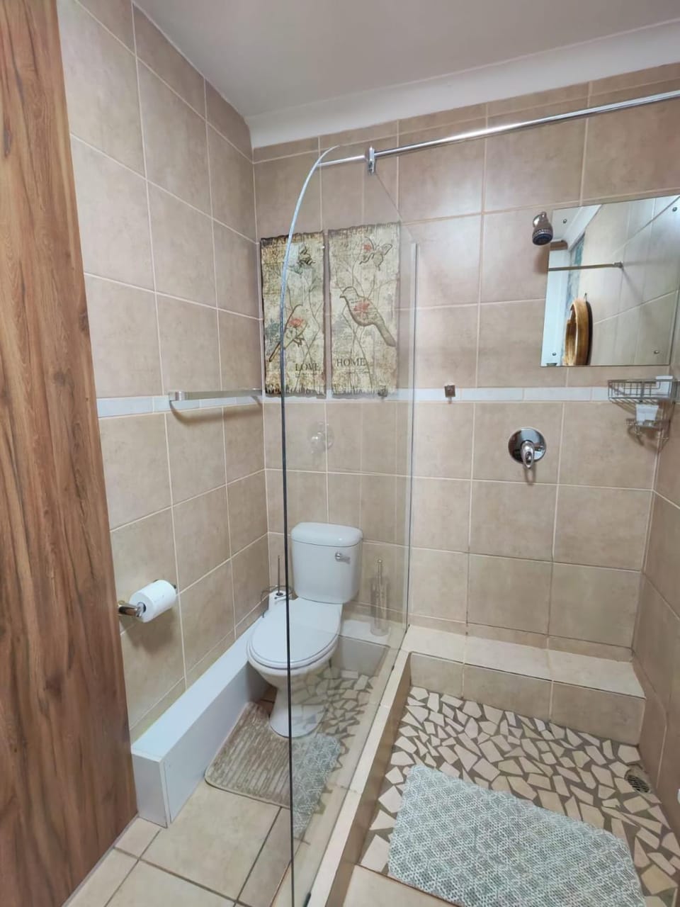 Shower, Toilet