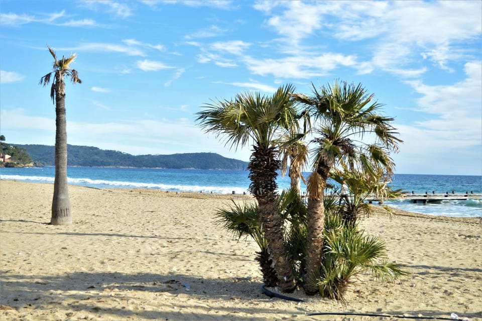 Nearby landmark, Day, Natural landscape, Beach