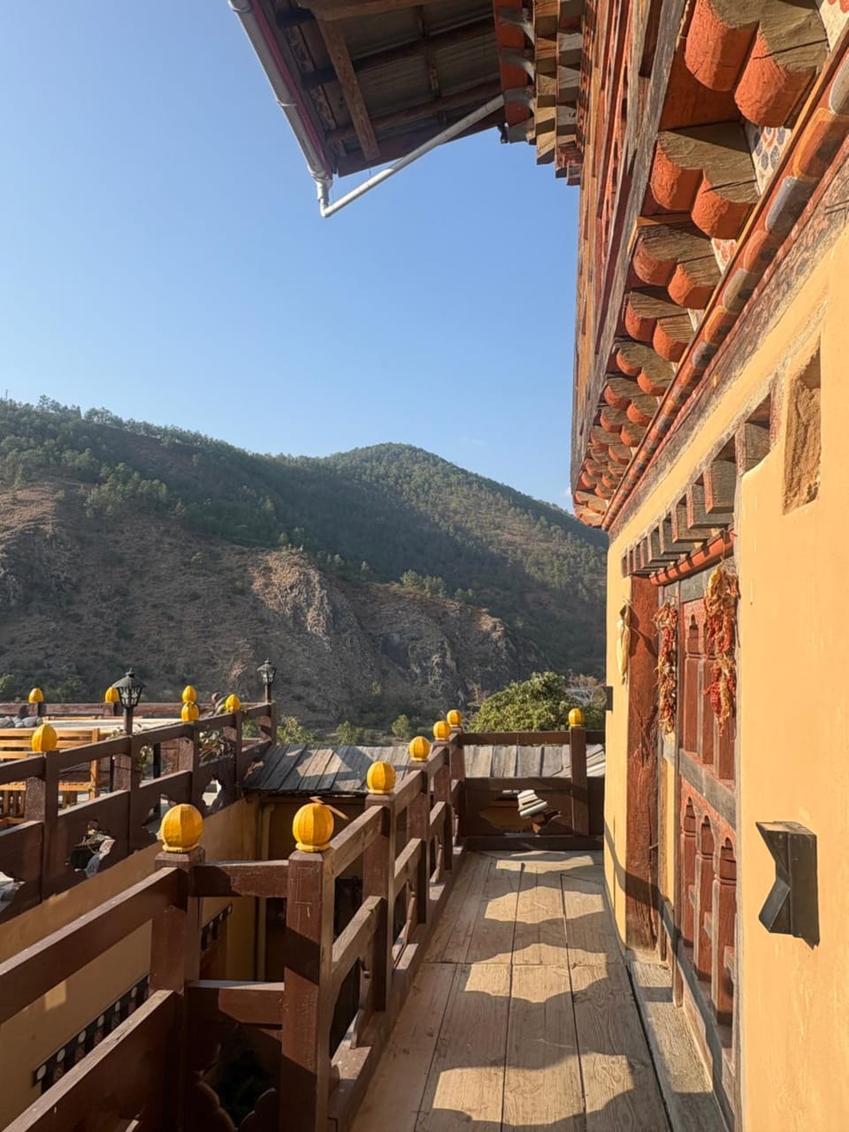 PumakhaPhochu service Apartment & Phuntshochoeling Village Homestay Apartment in Asia