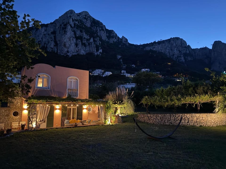 Night, Garden, Mountain view