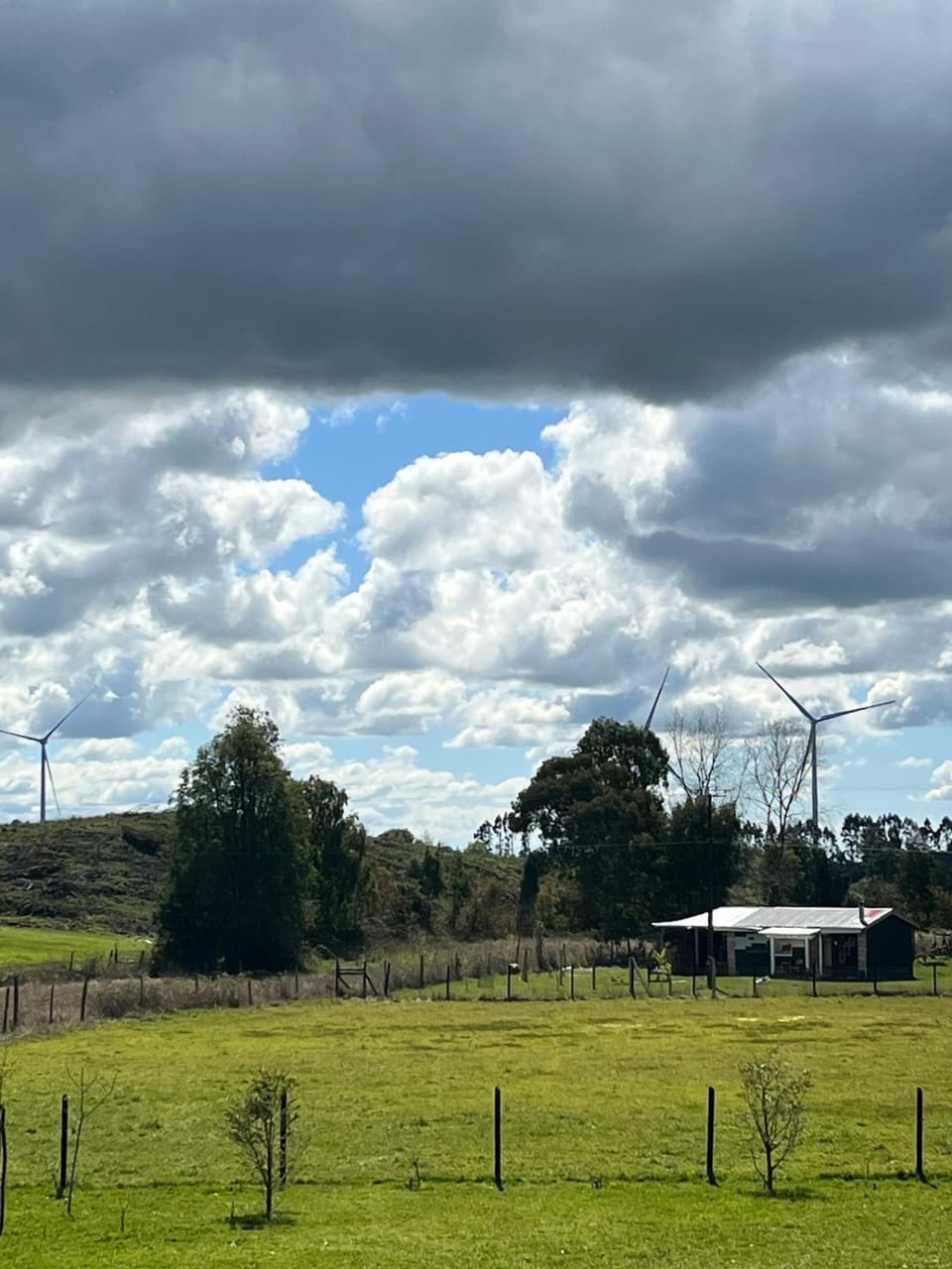 Natural landscape
