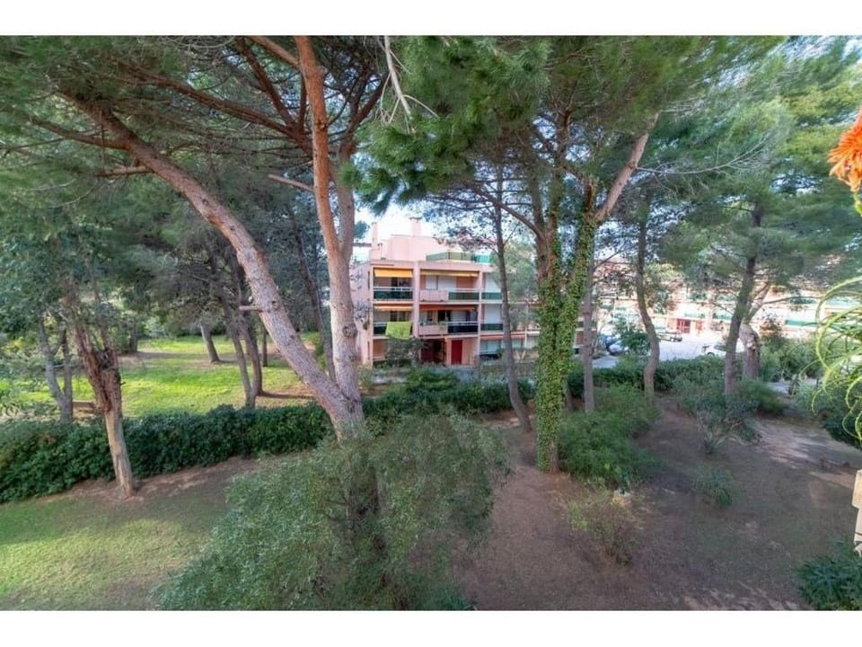 Property building, Natural landscape, Garden view