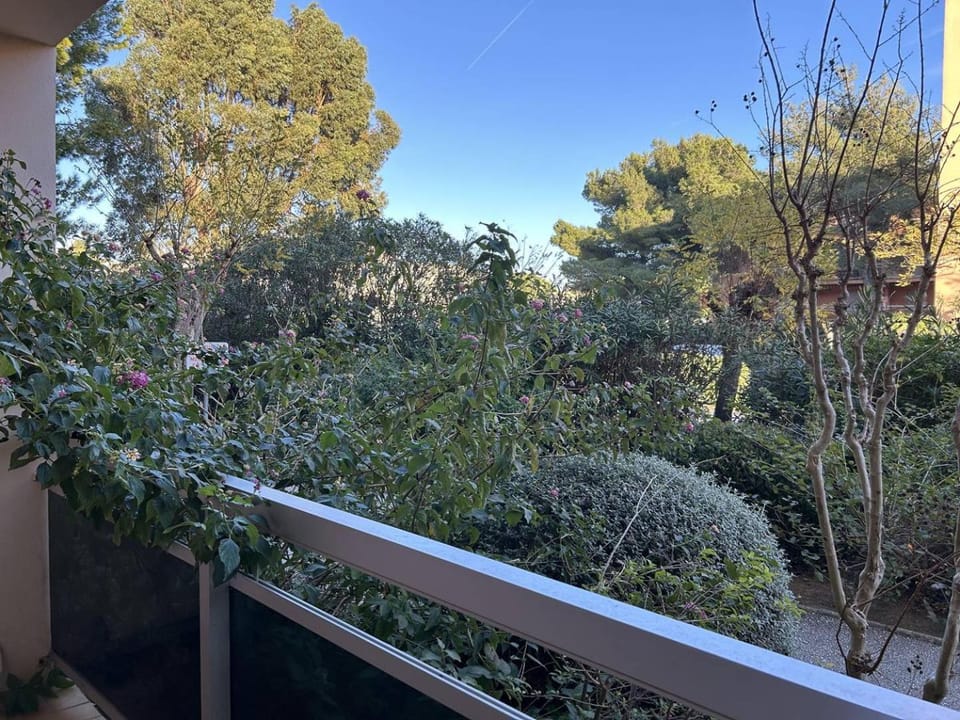 Garden, Garden view