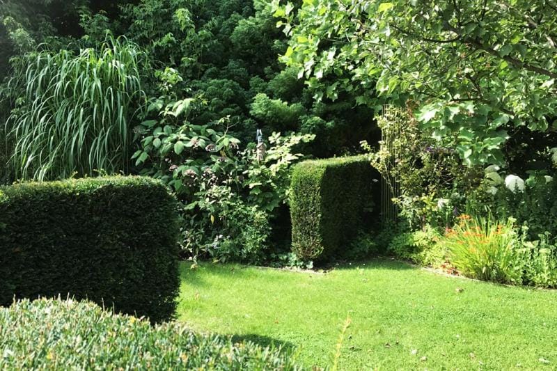 Garden, Garden, Garden view
