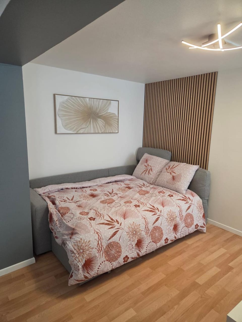 The red door Apartment in Thionville