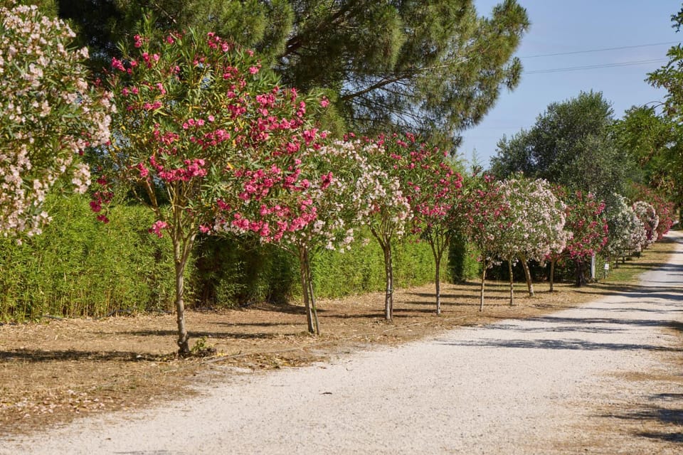 Camping Costa d'Argento Village Club - Maeva Vacansoleil Campground/ 
RV Resort in Tuscany
