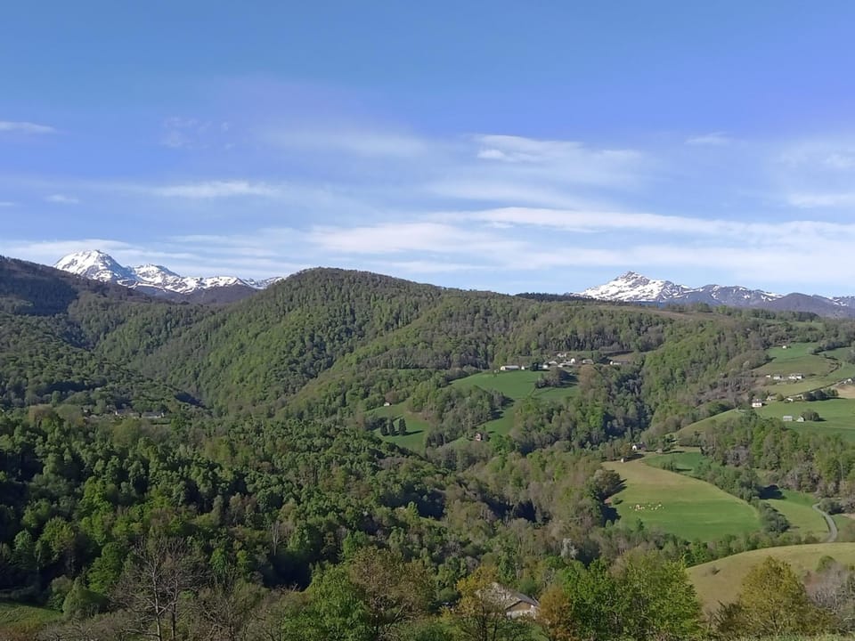 Mountain view