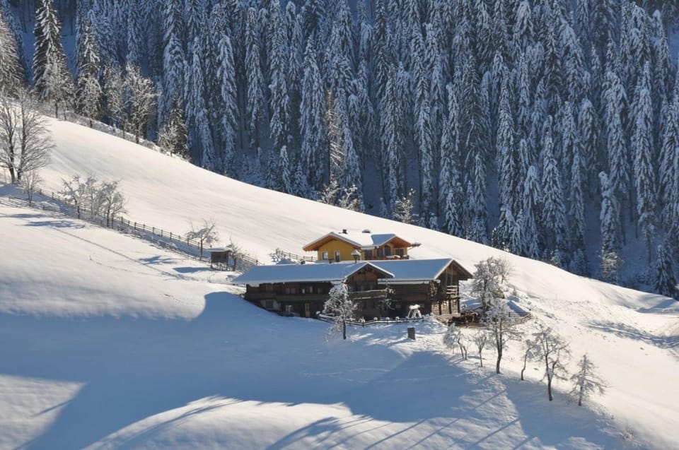 Chalet Naturblick am ZwisleggGut House in Salzburgerland