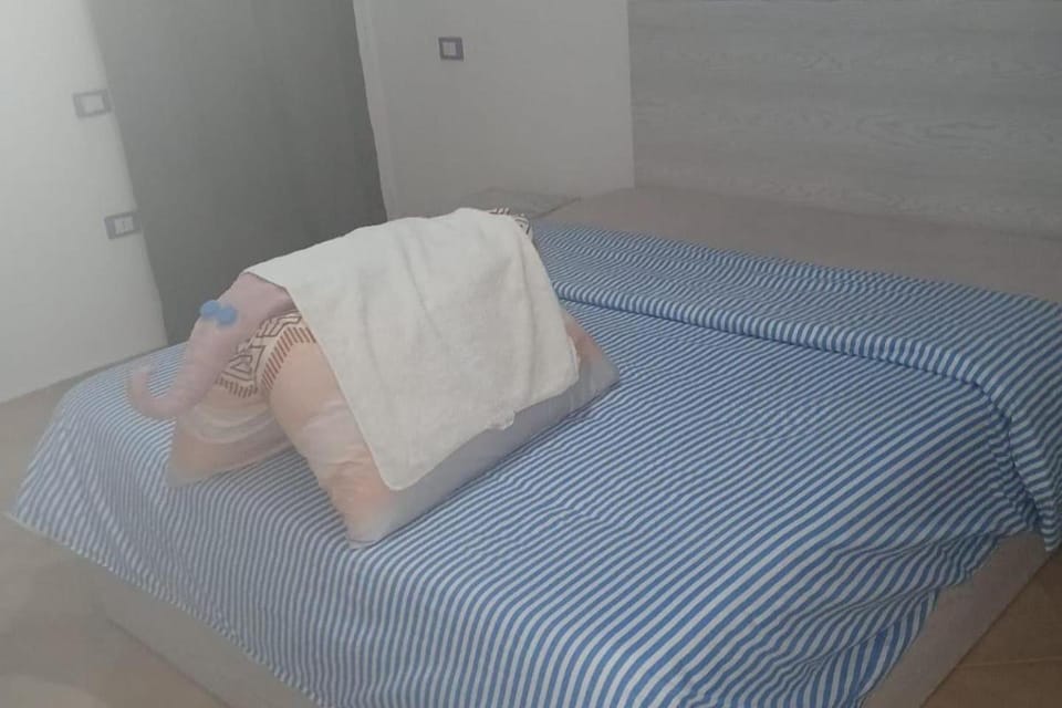 Bed, Photo of the whole room, Bedroom, towels