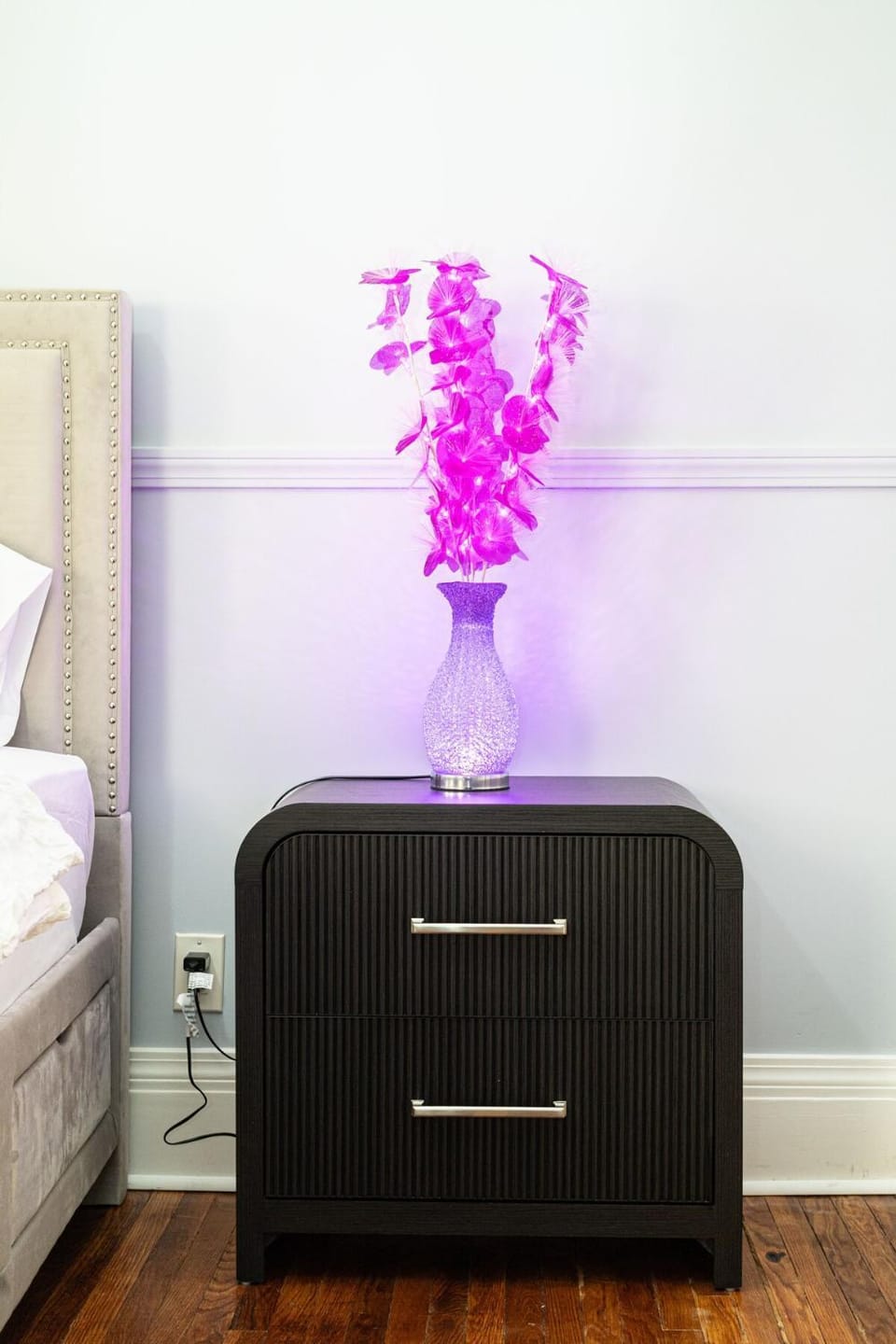 Nightingale In Boston Apartment in Boston