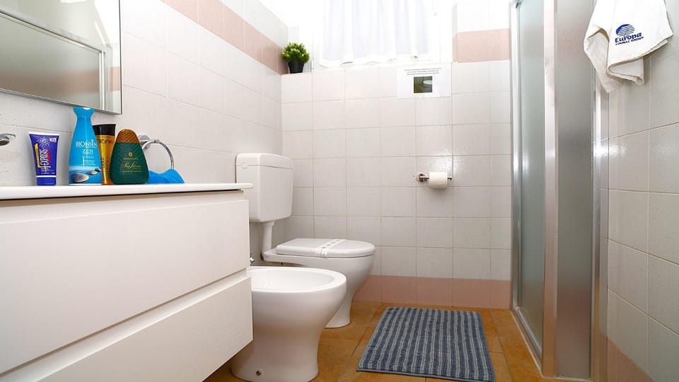 Shower, Toilet, Bathroom, bidet