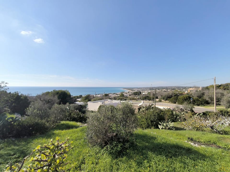 Nearby landmark, Spring, Day, Natural landscape, Garden, Sea view