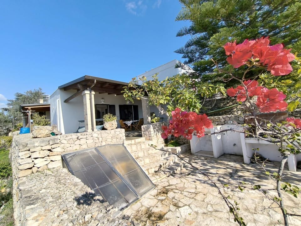 Property building, Patio, Spring, Day, Garden, Garden view