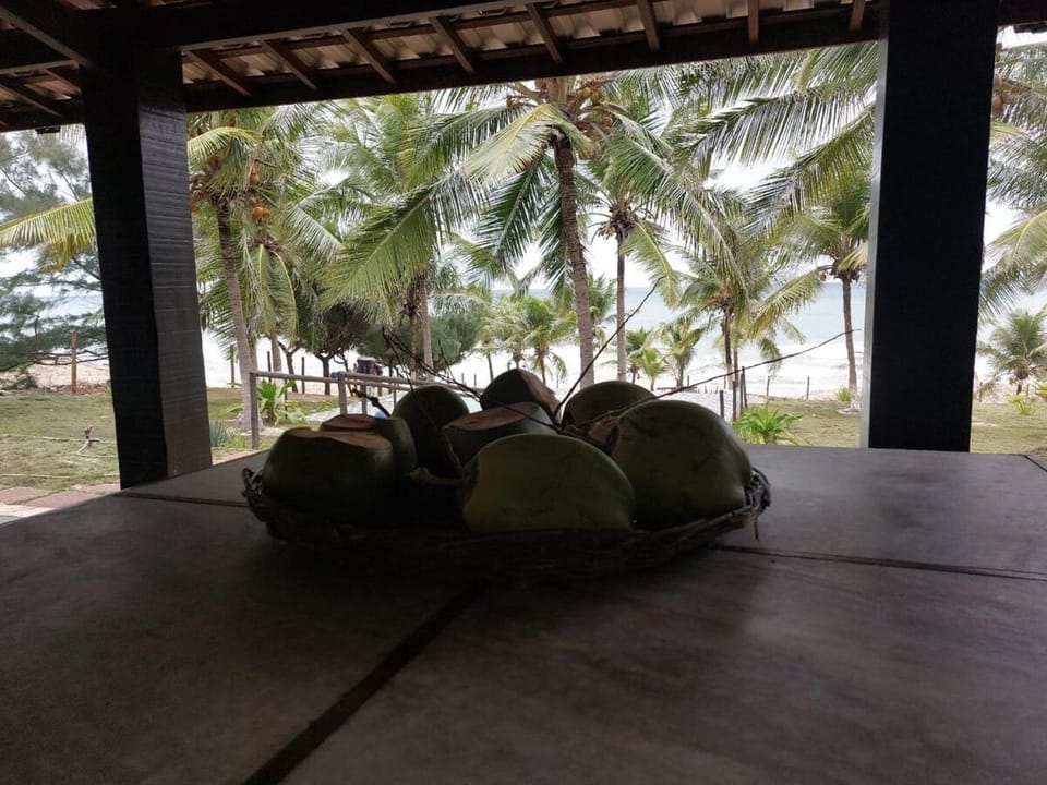 Farmhouse facing the sea, paradise House in State of Bahia